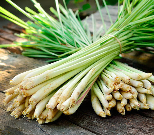 Lemongrass - The Essence of Bali